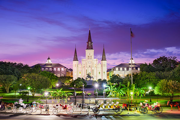 My New Orleans