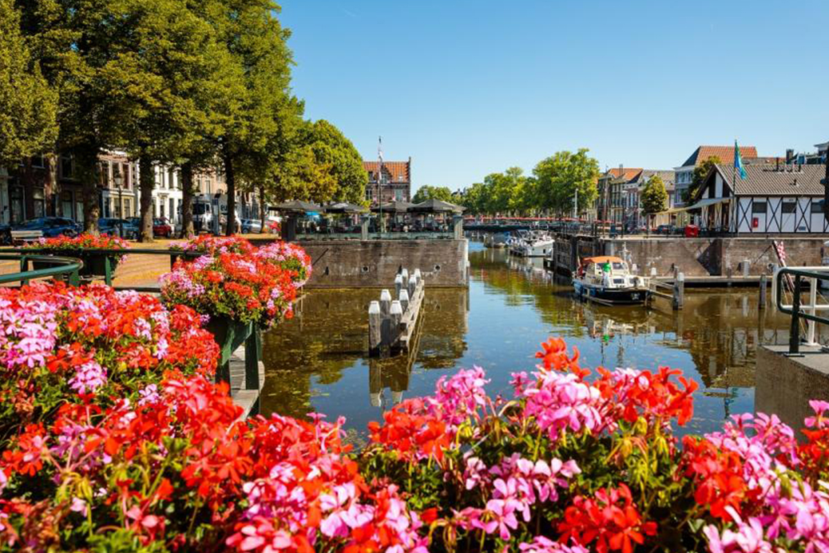 a river with flowers and a boat