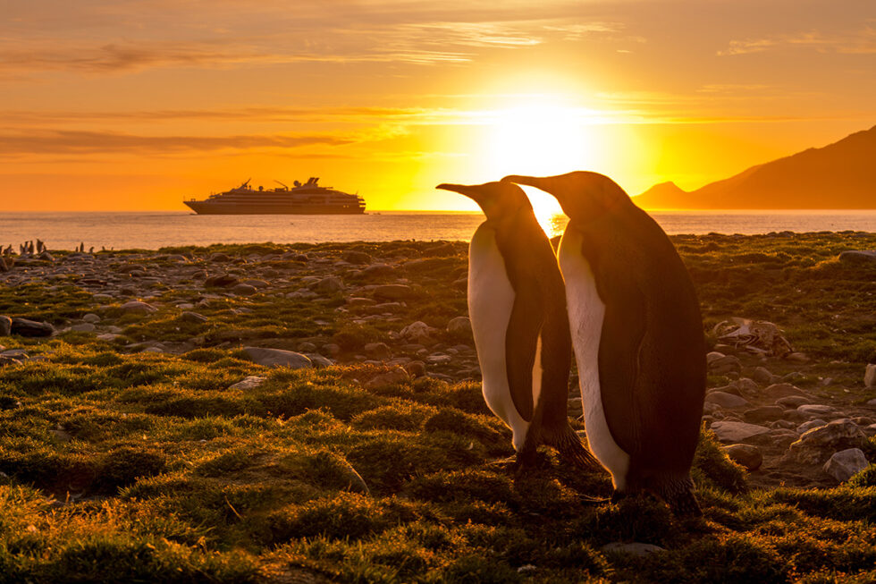 Antarctica Cruise 2024 VACAYA