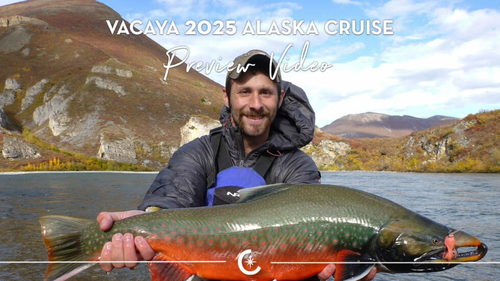 Alaska Cruise 2025 | VACAYA